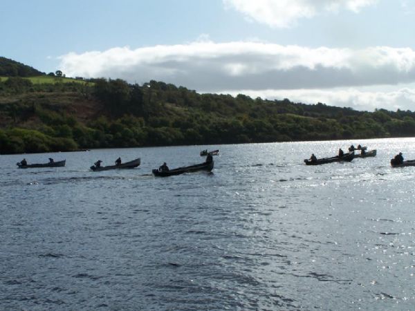 Lough fern at an open competition 2012